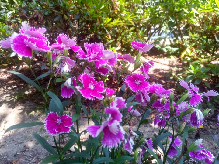 Imagen - Review: Blackview P10000 Pro, un smartphone con una enorme bater&iacute;a de 11.000 mAh