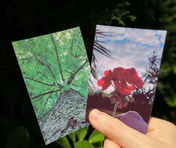 Imagen - Review: HP Sprocket Plus, imprime tus recuerdos allá donde vayas