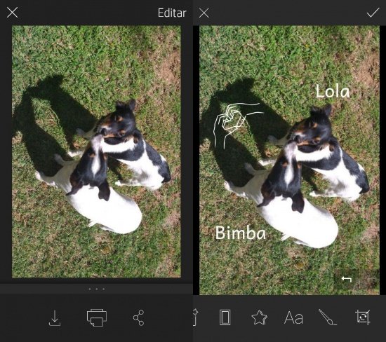 Imagen - Review: HP Sprocket Plus, imprime tus recuerdos allá donde vayas