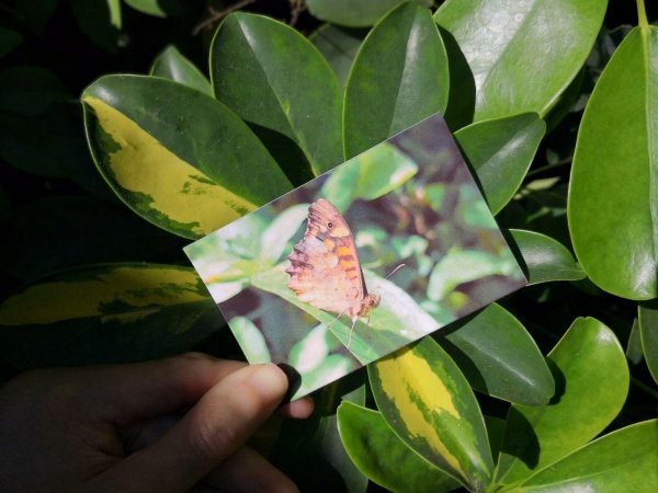 Imagen - Review: HP Sprocket Plus, imprime tus recuerdos allá donde vayas