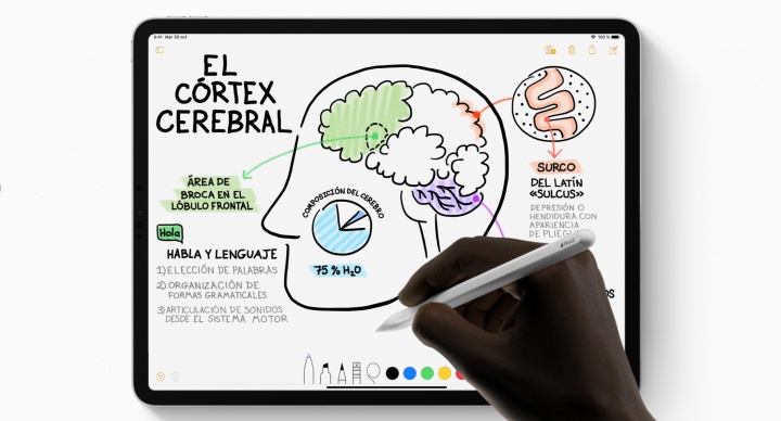 Imagen - iPad Pro se actualiza: diseño todo pantalla, puerto USB-C y Face ID