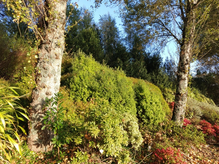 Imagen - Review: OnePlus 6T, lector de huellas en pantalla y mini notch para un móvil detallista