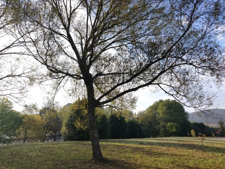 Imagen - Review: OnePlus 6T, lector de huellas en pantalla y mini notch para un móvil detallista