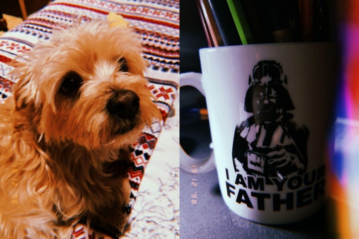 Imagen - Huji Cam, una app que permite poner filtros vintage a las fotos