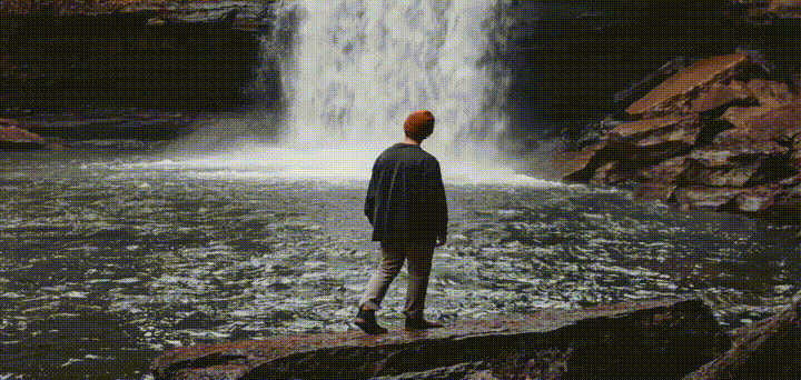 Imagen - Enlight Pixaloop, anima tus fotos mágicamente