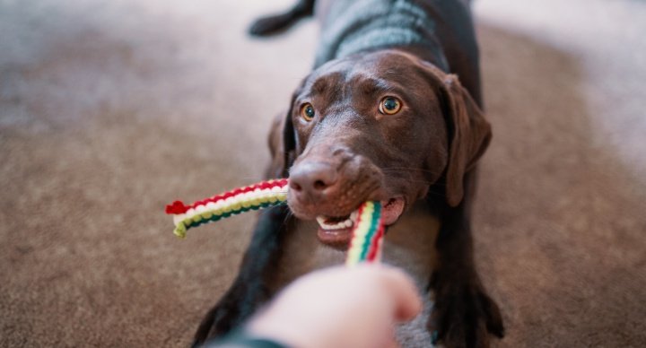Imagen - C&oacute;mo instala Yoigo la fibra en tu casa