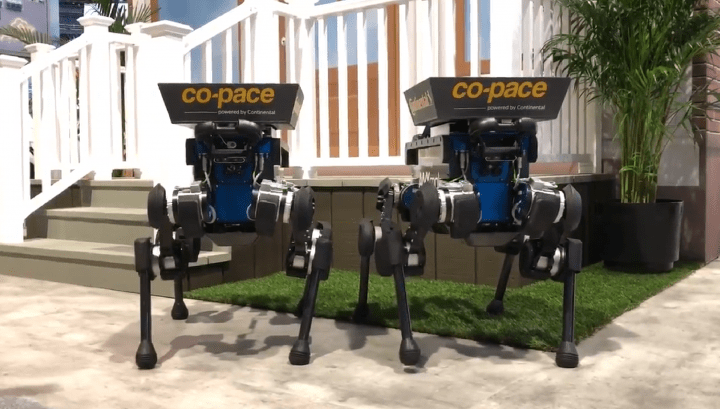 Imagen - Perros robot te entregar&aacute;n los pedidos online en casa