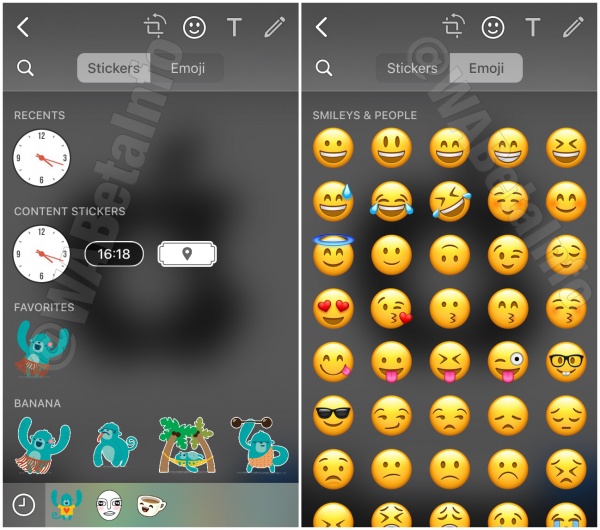 Imagen - WhatsApp permitirá añadir stickers en imágenes, vídeos y GIFs