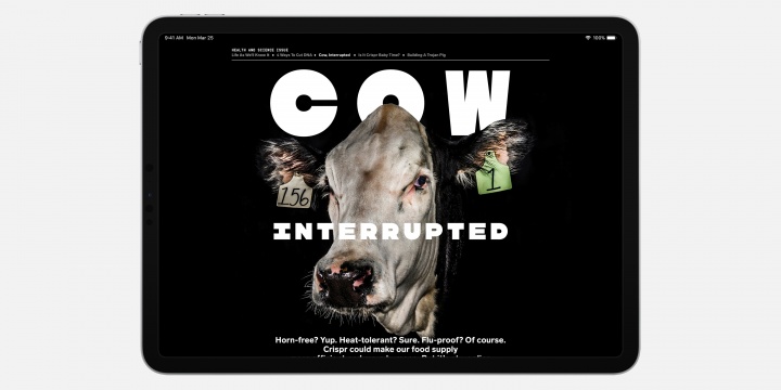 Imagen - Apple News+, la suscripción con periódicos y revistas en formato digital