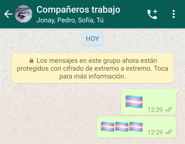 Imagen - WhatsApp beta añade un emoji oculto de la bandera trans