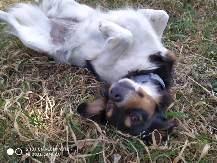 Imagen - Review: Xiaomi Redmi Note 7, no tiene rival en precio pero... ¿y en lo demás?