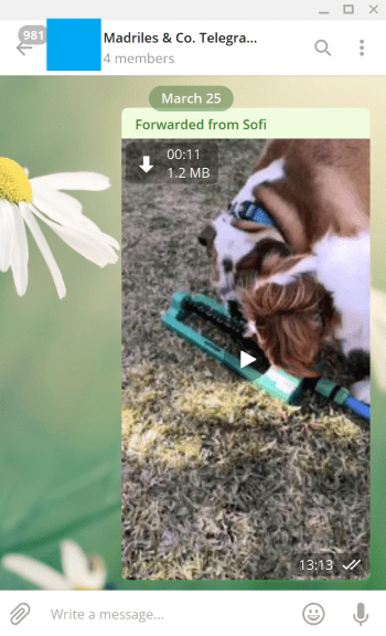 Imagen - Telegram ya permite borrar cualquier mensaje y mejora su buscador de GIFs y emojis