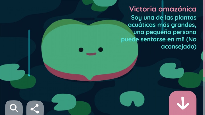 Imagen - Google lanza un Doodle con curiosidades de plantas y animales por el D&iacute;a de la Tierra 2019
