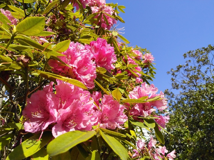 Imagen - Review: Vsmart Active 1+, el heredero espiritual de BQ mantiene sus se&ntilde;as de identidad