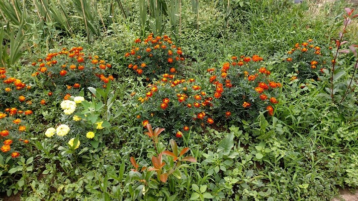 Imagen - Review: Galaxy A80, el primer móvil con cámara reversible de Samsung