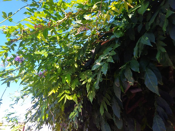 Imagen - Review: Alcatel 3 2019, por poco podemos tener bastante