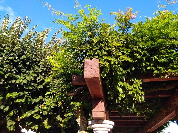 Imagen - Review: Alcatel 3 2019, por poco podemos tener bastante