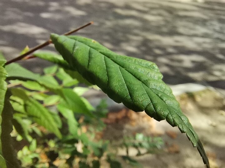 Imagen - Review: Huawei Nova 5T, cerca de la gama alta, pero más barato