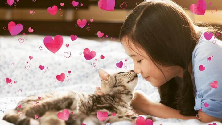 Imagen - Photoshop y Premiere Elements 2020: editores de fotos y v&iacute;deo con inteligencia artificial