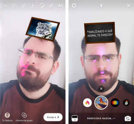 Imagen - Cómo conseguir el filtro de &quot;a qué animal te pareces&quot; en Instagram