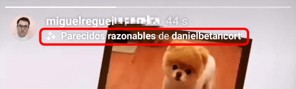Imagen - Cómo conseguir el filtro de &quot;a qué animal te pareces&quot; en Instagram
