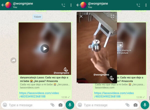 Imagen - WhatsApp se integrar&aacute; con Lasso, el rival de TikTok creado por Facebook
