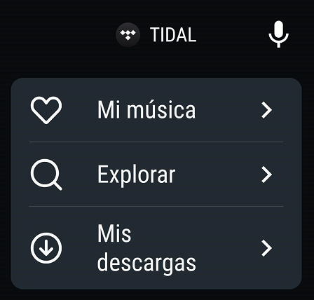 Imagen - Cómo usar Tidal en el coche