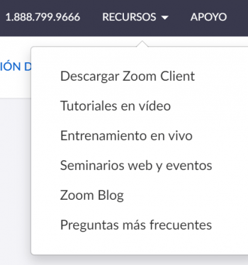 Imagen - Zoom, qué es y cómo funciona