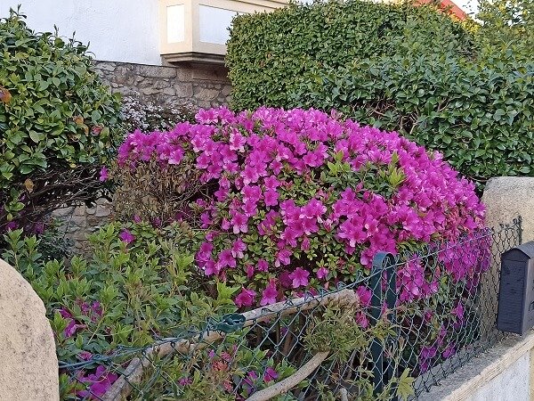 Imagen - Realme 6, análisis completo con opinión