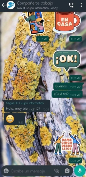 Imagen - 7 funciones de WhatsApp que no tiene Signal