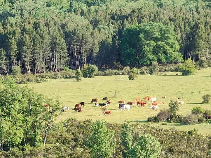 Imagen - Realme X3 SuperZoom: an&aacute;lisis con especificaciones y precio