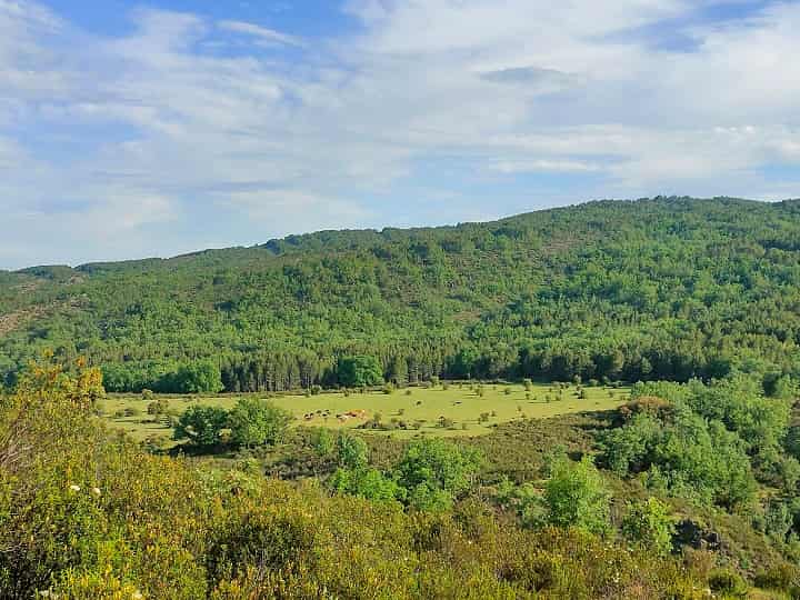 Imagen - Realme X3 SuperZoom: an&aacute;lisis con especificaciones y precio