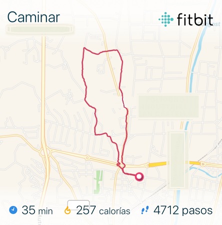 Imagen - Fitbit Charge 4, análisis completo con opinión
