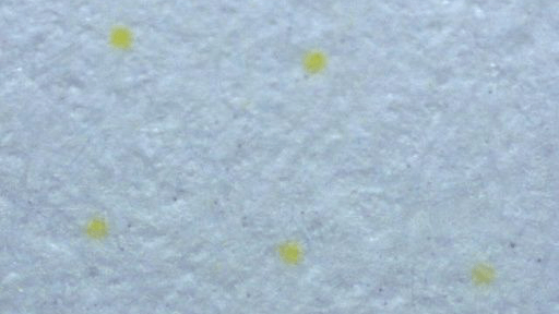 Imagen - Tu impresora podr&iacute;a dejar puntos secretos que no ves