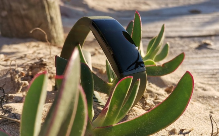 Imagen - Realme Band: análisis con opinión y especificaciones