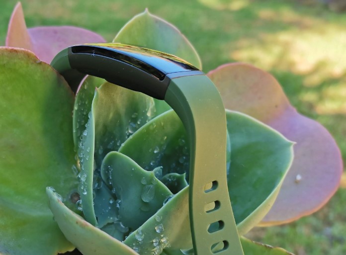 Imagen - Realme Band: análisis con opinión y especificaciones