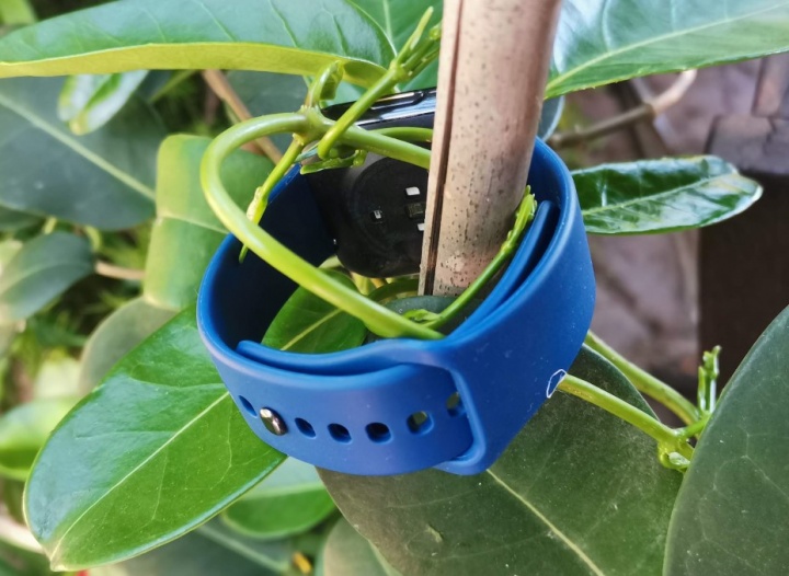 Imagen - Realme Watch: análisis con opinión y especificaciones