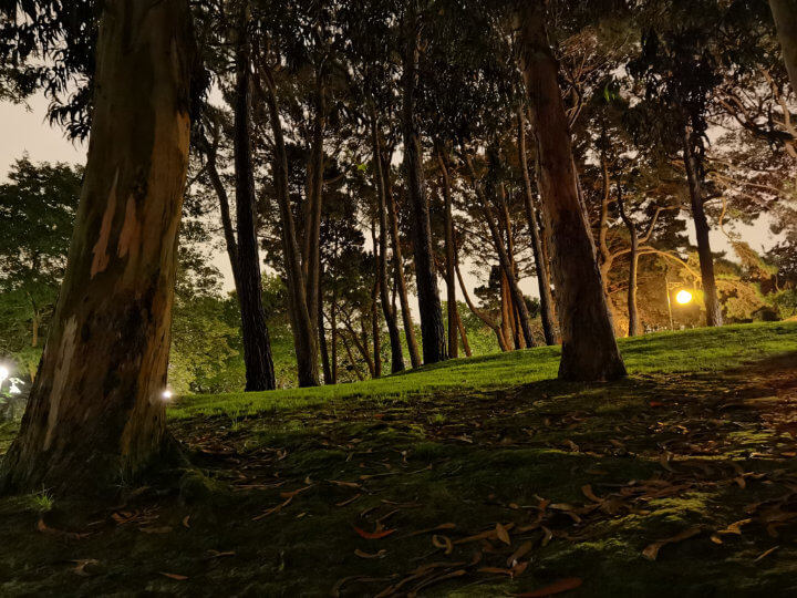Imagen - Huawei P40 Pro Plus, análisis con opinión y ficha técnica