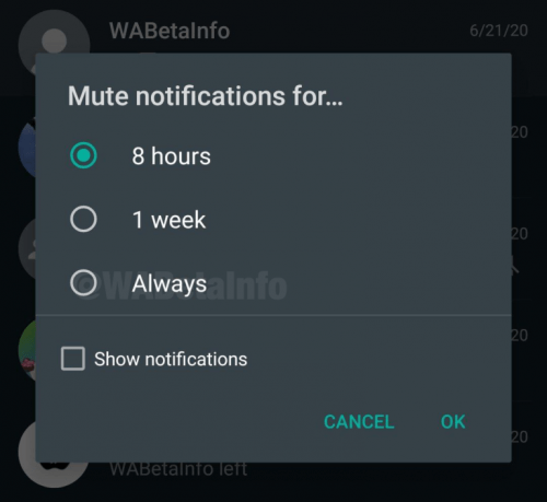 Imagen - WhatsApp permitir&aacute; silenciar notificaciones para siempre