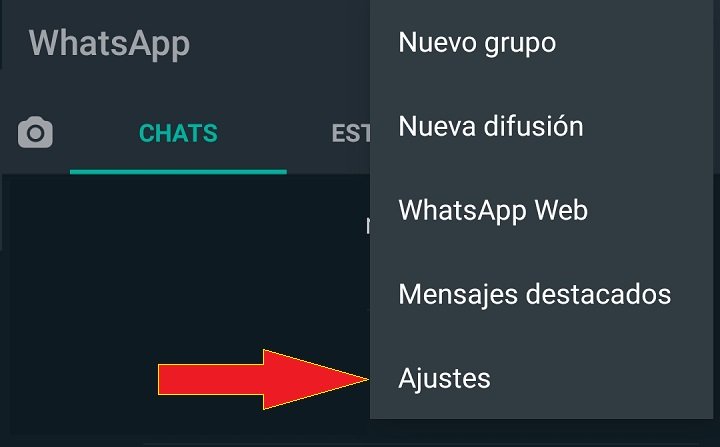 Imagen - Cómo cambiar el tono de WhatsApp