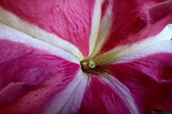 Imagen - Realme 7, análisis con opinión