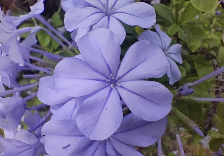Imagen - Realme 7 Pro, análisis con opinión