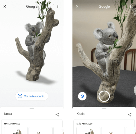Imagen - Google a&ntilde;ade nuevos animales 3D: quokkas, koalas y canguros