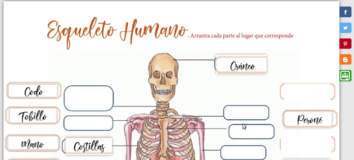 Imagen - Liveworksheets, qué es y cómo funciona