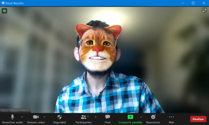 Imagen - Cómo poner el filtro del gato en Zoom