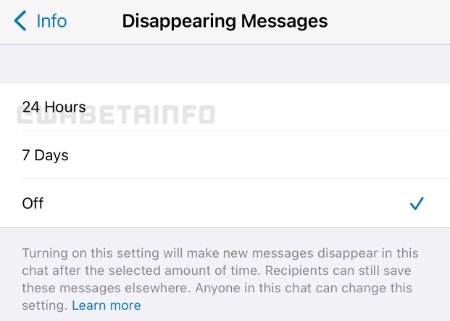 Imagen - WhatsApp añadirá mensajes temporales de 24 horas