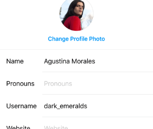 Imagen - C&oacute;mo a&ntilde;adir pronombres al perfil de Instagram