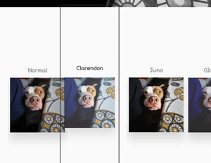 Imagen - 11 mejores opciones de Instagram que no conoces