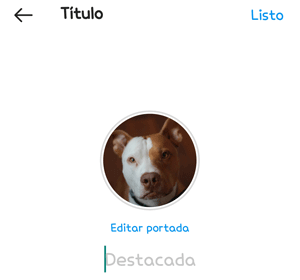 Imagen - 11 mejores opciones de Instagram que no conoces