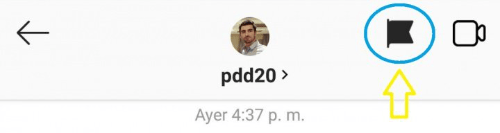 Imagen - &iquest;Qu&eacute; significa que las estrellas se reemplazan por banderas en Instagram?